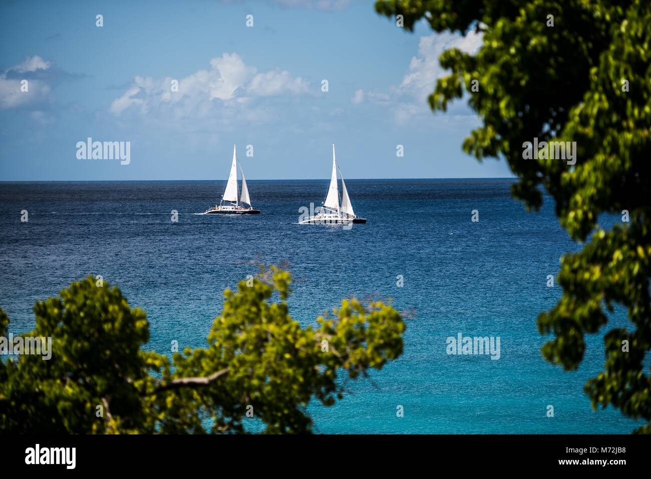 Sailing in Barbados Stock Photo Alamy