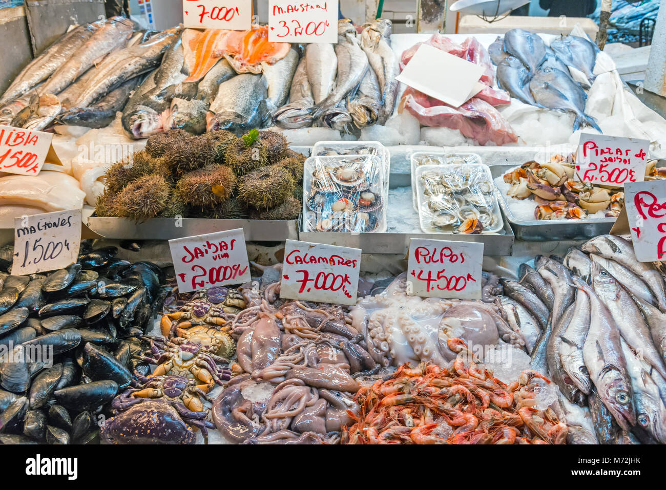 Fresh seafood and fish for sale at a market in Santiago de Chile Stock Photo