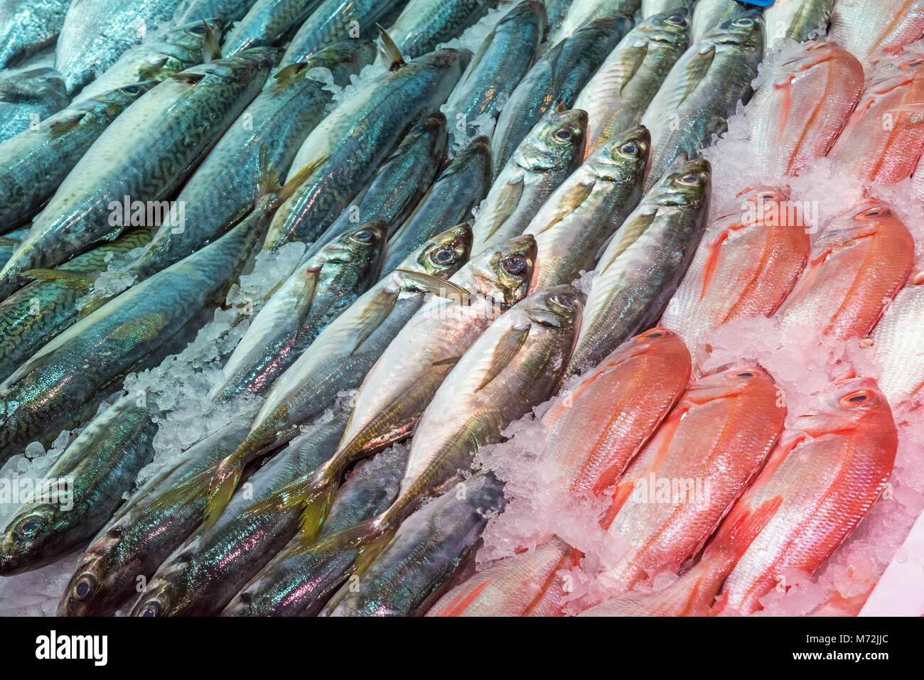 Fresh fish for sale at a market in Madrid, Spain Stock Photo Alamy