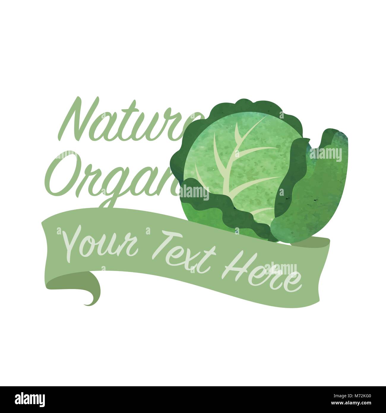 Colorful watercolor texture vector nature organic vegetable banner ...