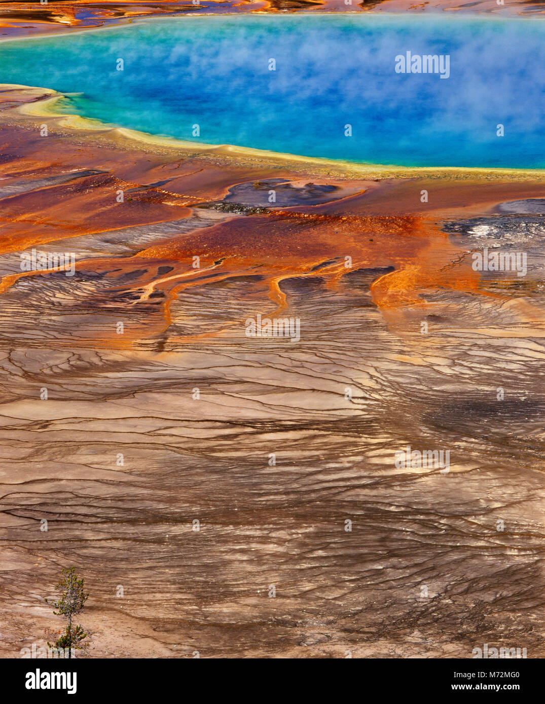 Grand Prismatic Spring, Midway Geyser Basin, Yellowstone National Park, Wyoming Stock Photo
