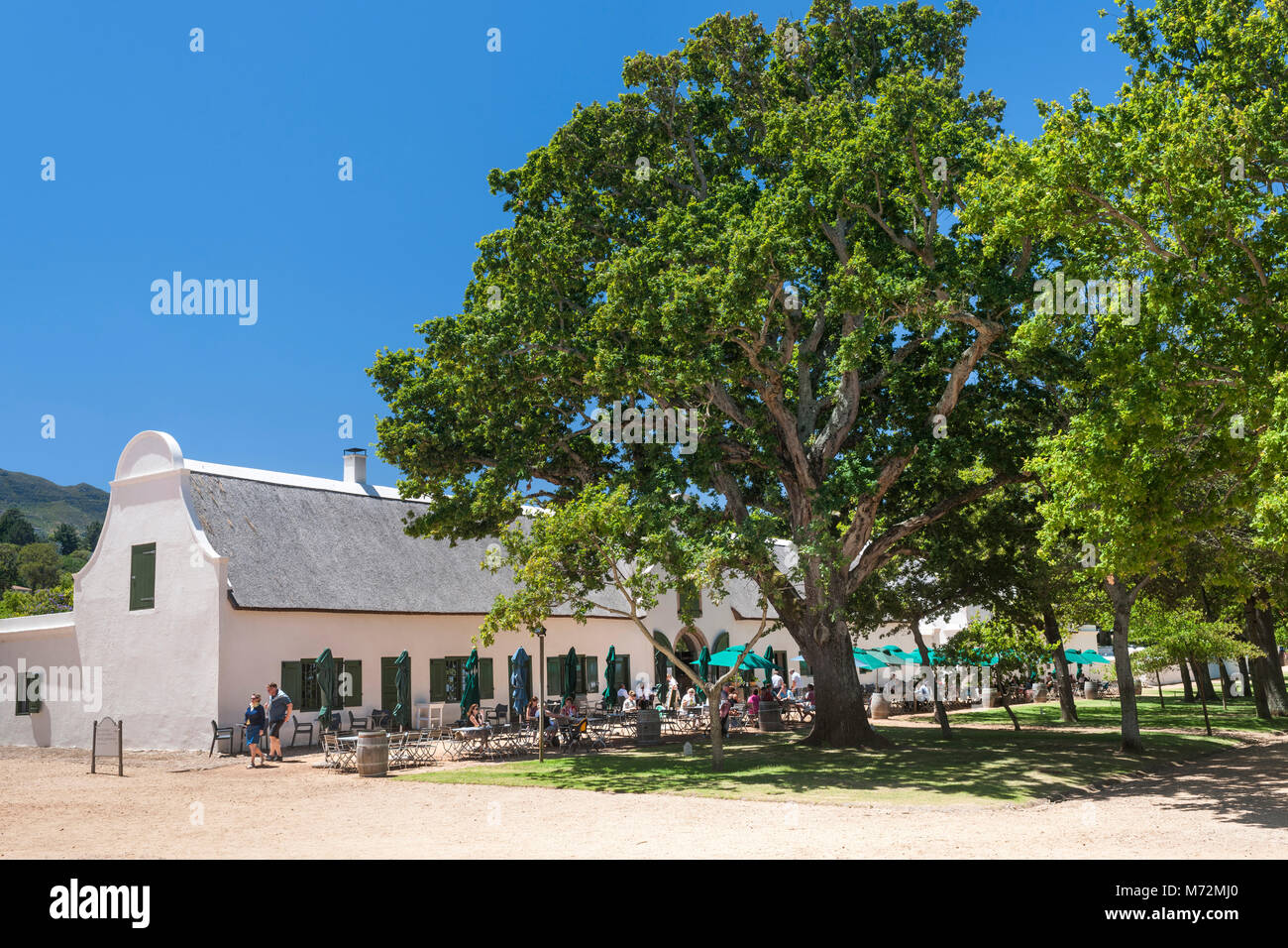 groot constantia simons