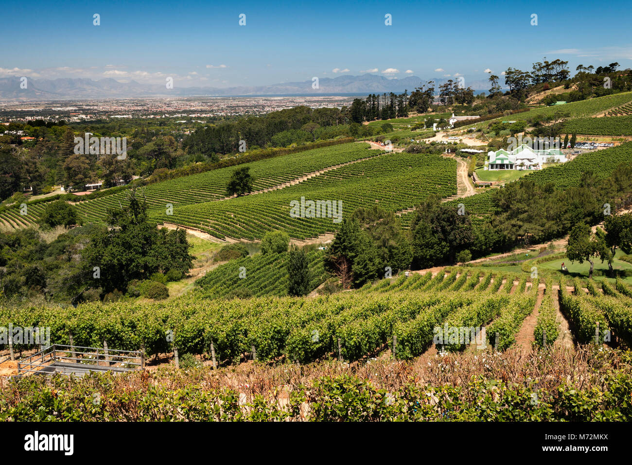 View Across The Constantia Valley From The Beau Constantia Wine Estate In Cape Town Stock Photo Alamy View Across The Constantia Valley From The Beau Constantia Wine Estate In Cape Town Stock Photo Alamy