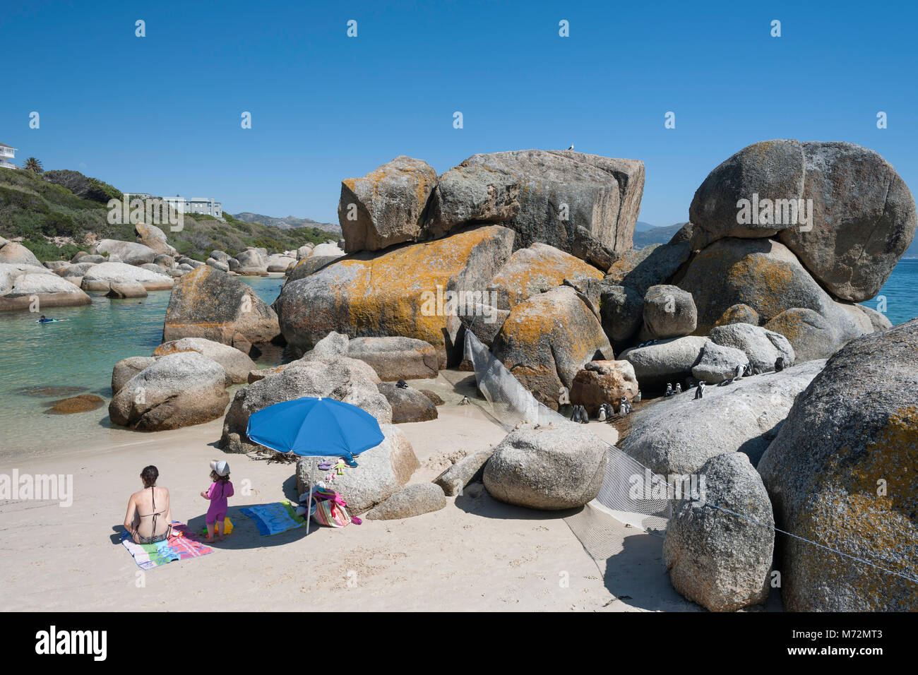 Boulders beach in Cape Town. Stock Photo