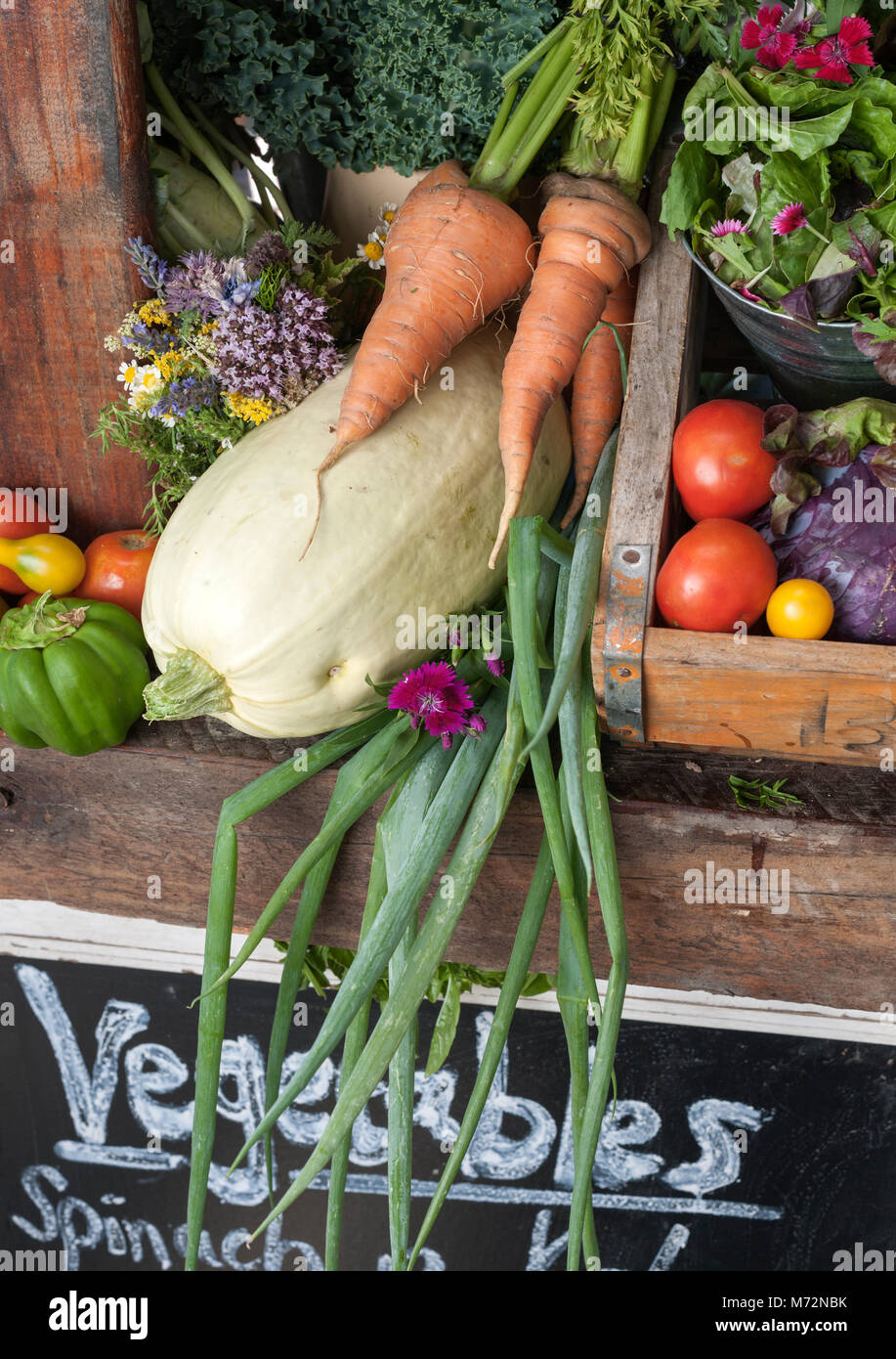 Produce of the Church Street Kitchen Gardens in Tulbagh. Stock Photo