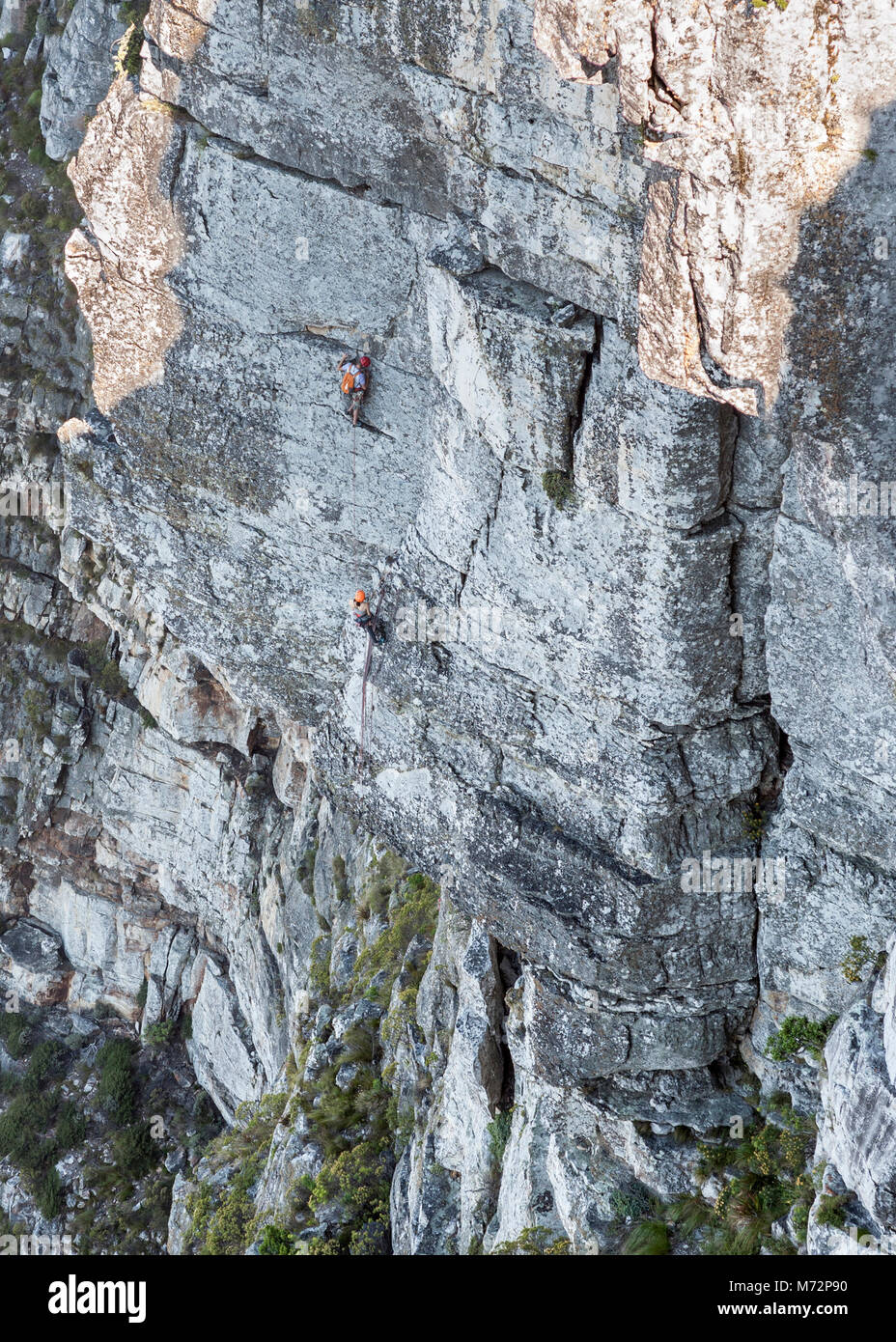 Rock climbers on the Africa Crag rock face just below the summit of Table Mountain in Cape Town. Stock Photo