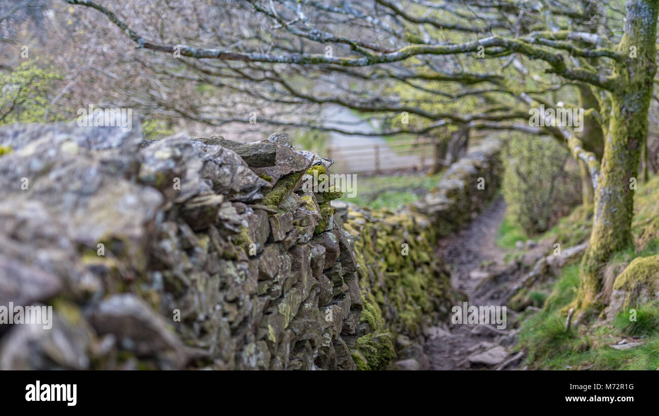 Beautiful Stone Wall Work near Orrest Head, Lake District Stock Photo