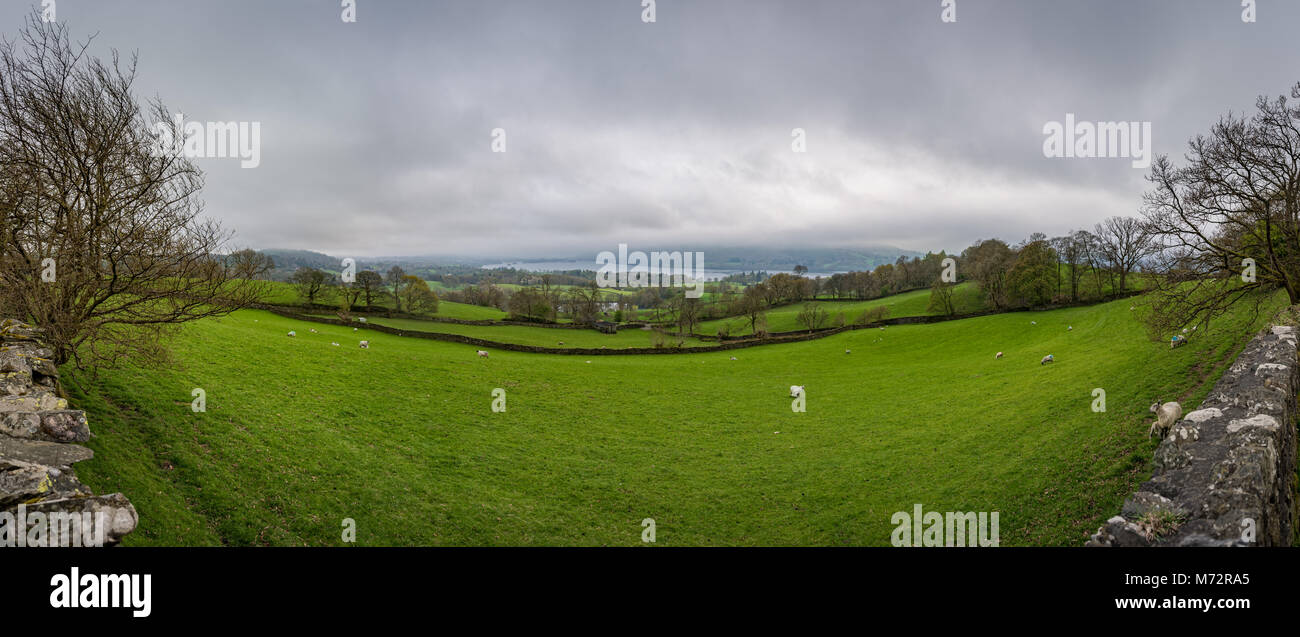 View Across Field to Lake Windemere in the Distance Stock Photo