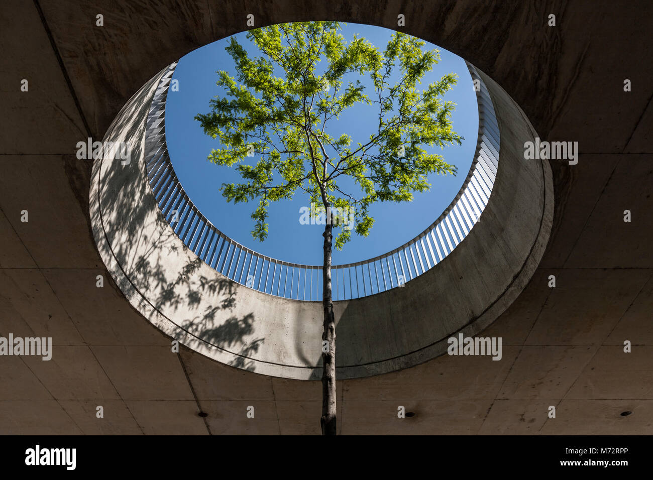 A tree protrudes through a hole in a concrete ceiling in Vienna, Austria. Photographed from below, the blue sky is seen through the hole Stock Photo