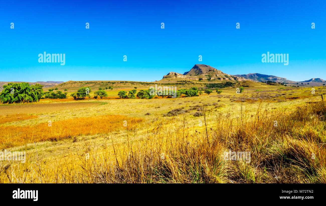 Fertile land hires stock photography and images Alamy