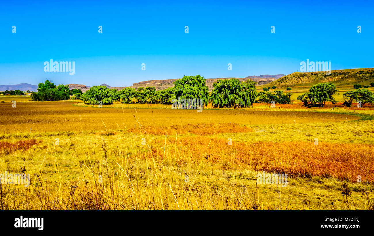 Fertile Land Stock Photos & Fertile Land Stock Images Alamy