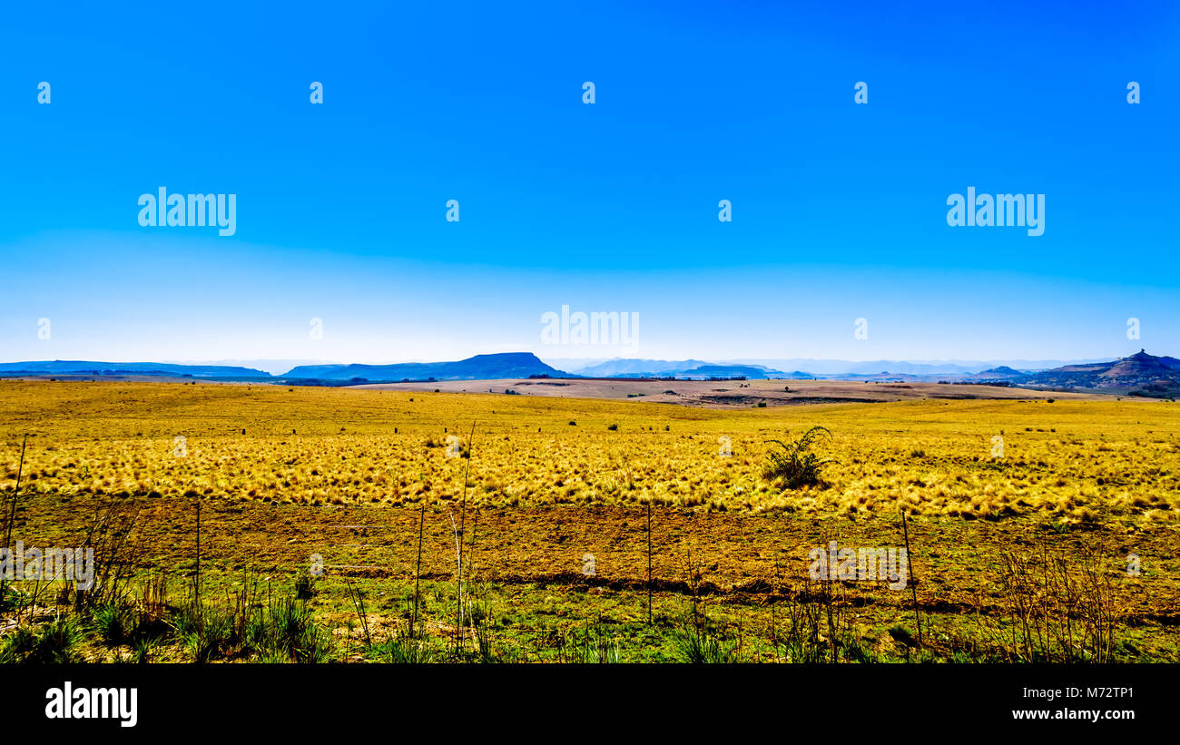Landscape with the fertile farmlands along highway R26, in the Free State province of South Africa, with the mountain ranges of Lesotho in the backgro Stock Photo