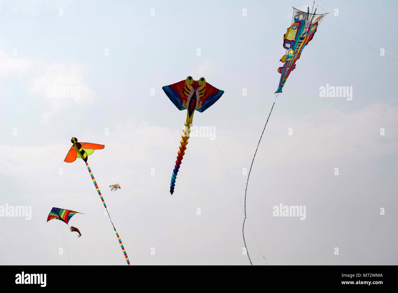 Various kites competing at the International Kite Festival at Sabarmati