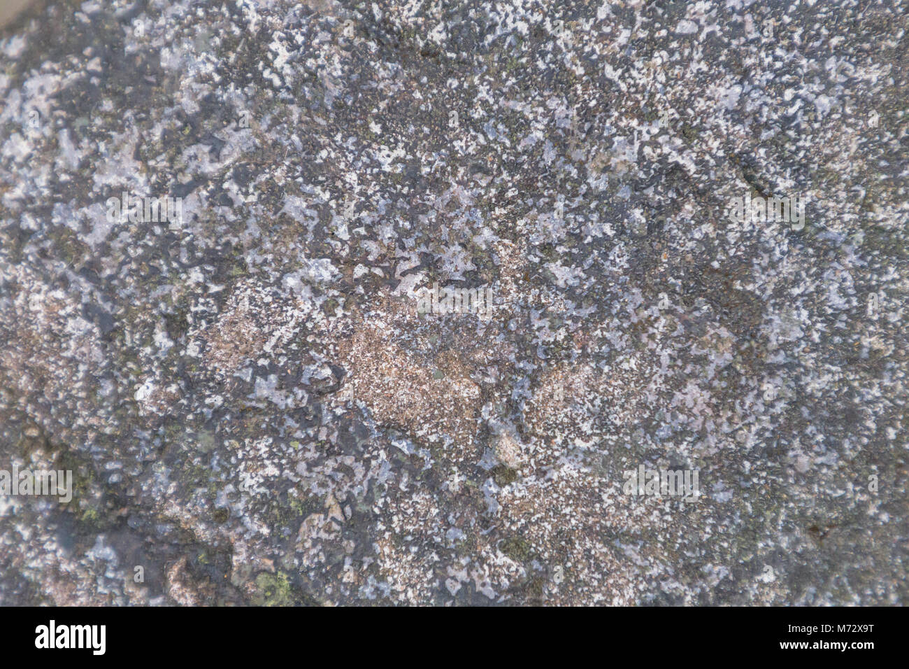 View of Stone texture or stone background for interior exterior decoration and ...
