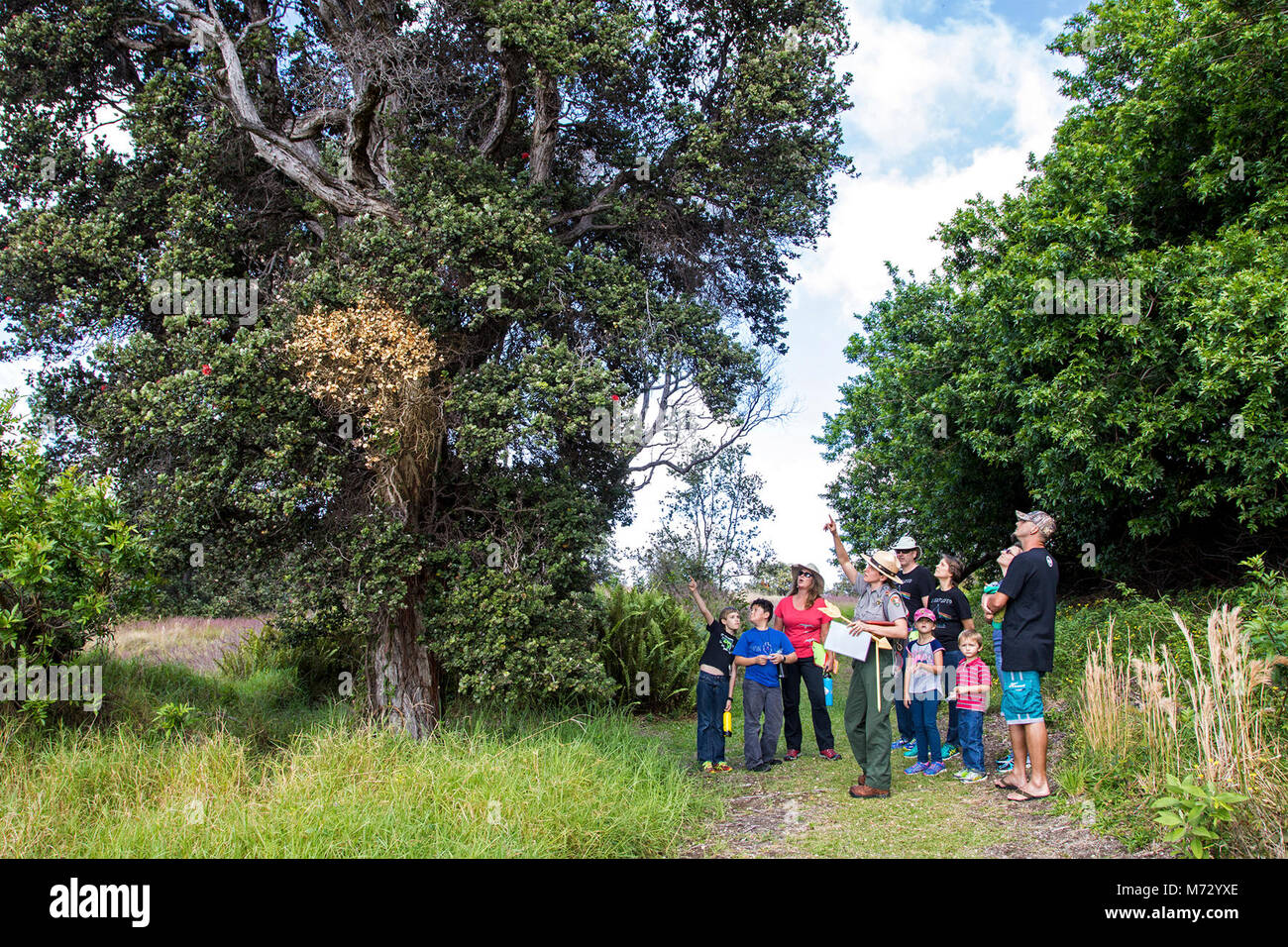 Hawaii park ranger hi-res stock photography and images - Alamy