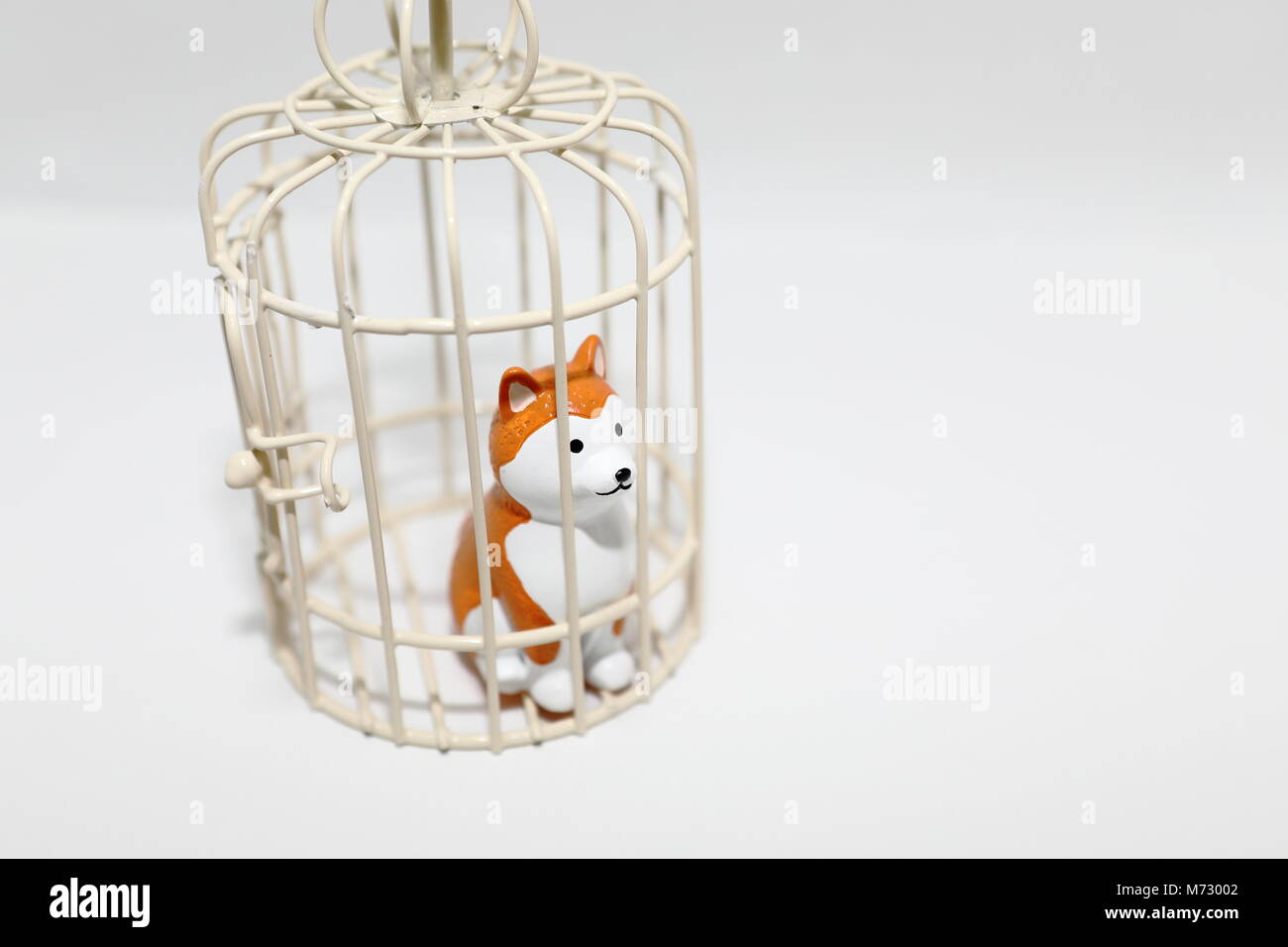 Animal abuse dog in cage isolated white background Stock Photo Alamy