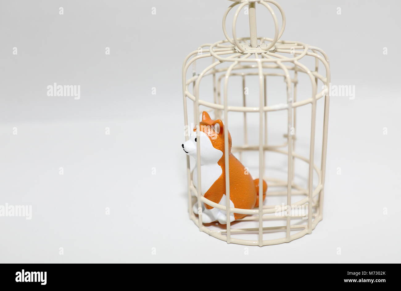 Animal abuse dog in cage isolated white background Stock Photo Alamy