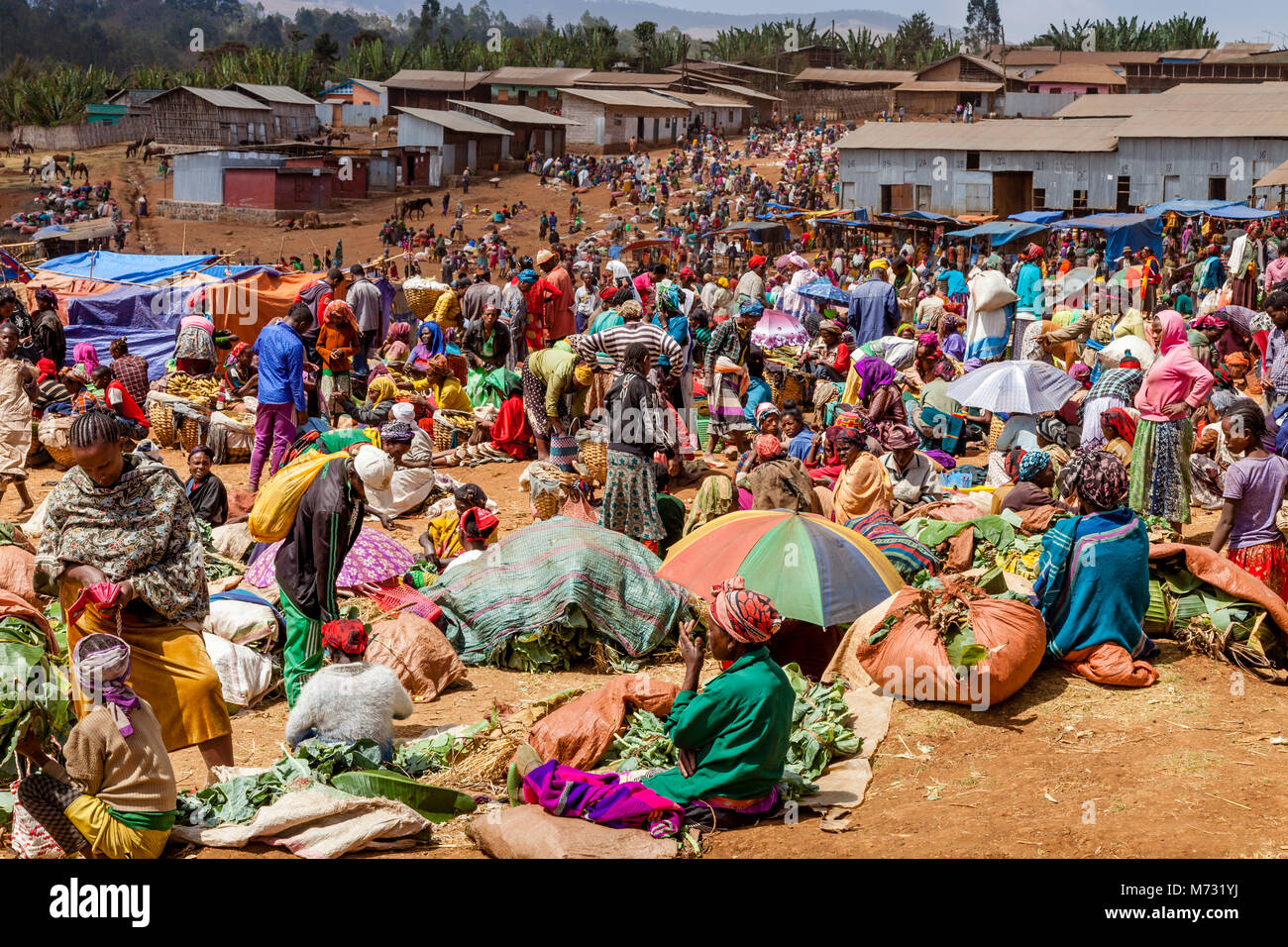 The Famous Saturday Market At The Dorze Village Of Chencha, High Up In The Guge Mountains, Gamo Gofa Zone, Ethiopia Stock Photo
