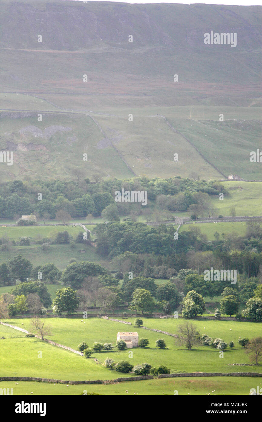 Wensleydale, North Yorkshire Stock Photo - Alamy