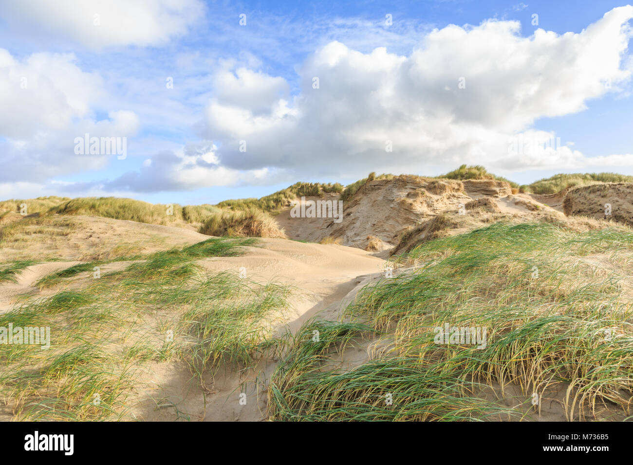 Dune valleys with deep wind holes carved out by heavy storm with swaying marram grasses with scattered clouds against blue sky Stock Photo