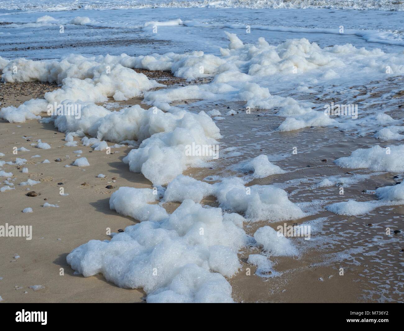 Sea foam, or Spume, on shoreline Stock Photo