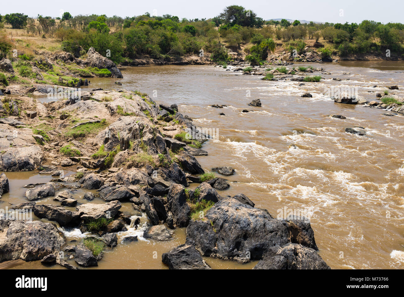 The Mara river flowing in the Maasai Mara National Reserve, rocks and vegetation line the shores on a sunny day, Kenya Stock Photo