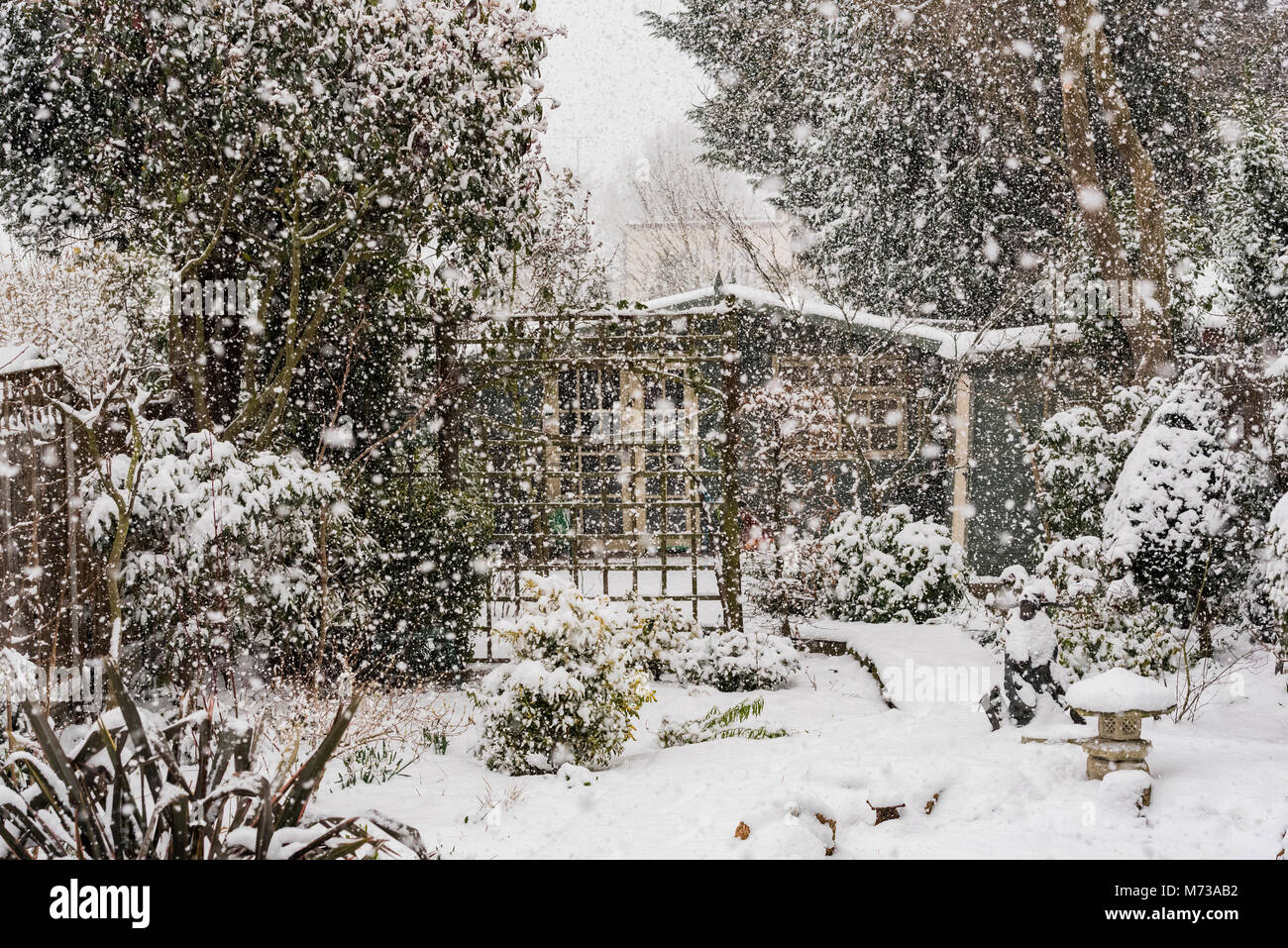 Essex garden with a heavy covering of snow, during a very heavy snow shower. Stock Photo