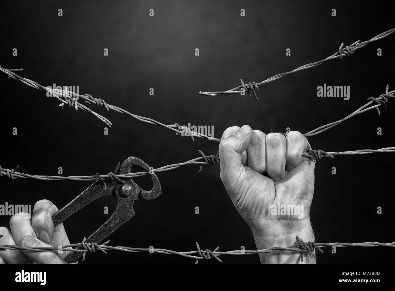 Wire cutting pliers Black and White Stock Photos & Images Alamy