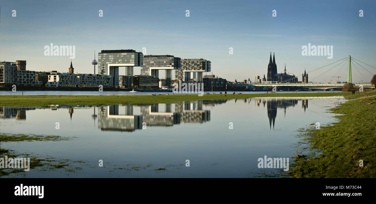 Cologne (Köln) on the Rhine after the flooding. Poller Wiesen still under water. Reflections of Kranhäuser of Rheinauhafen Stock Photo