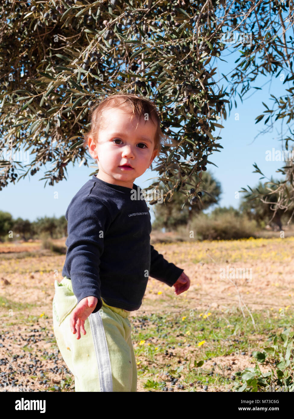 portrait of 2 year old boy near an olive tree Stock Photo - Alamy