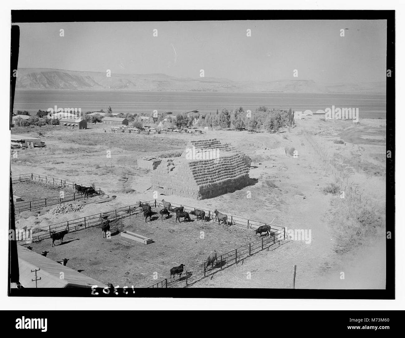 Ain Geb from the watch tower looking towards Tiberias LOC matpc.12648 Stock Photo