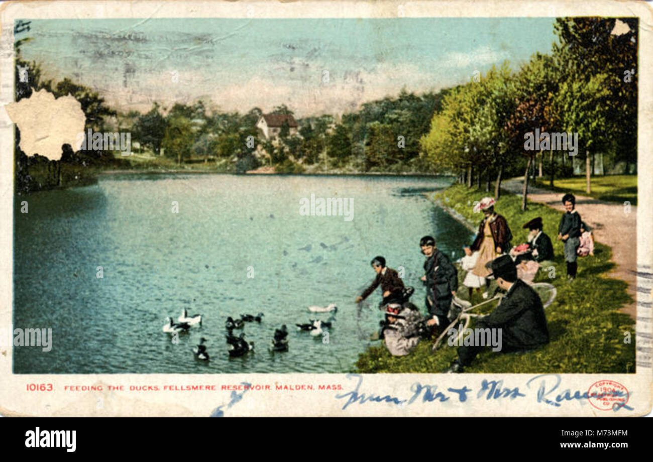 Fellsmere hires stock photography and images Alamy