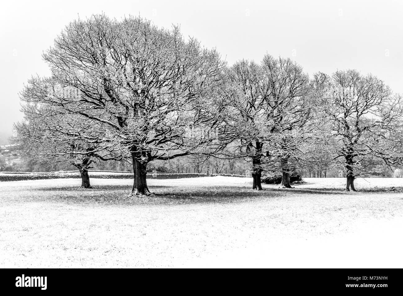 Netherthong, Yorkshire, UK. 8th March, 2018. Overnight snow creates a ...