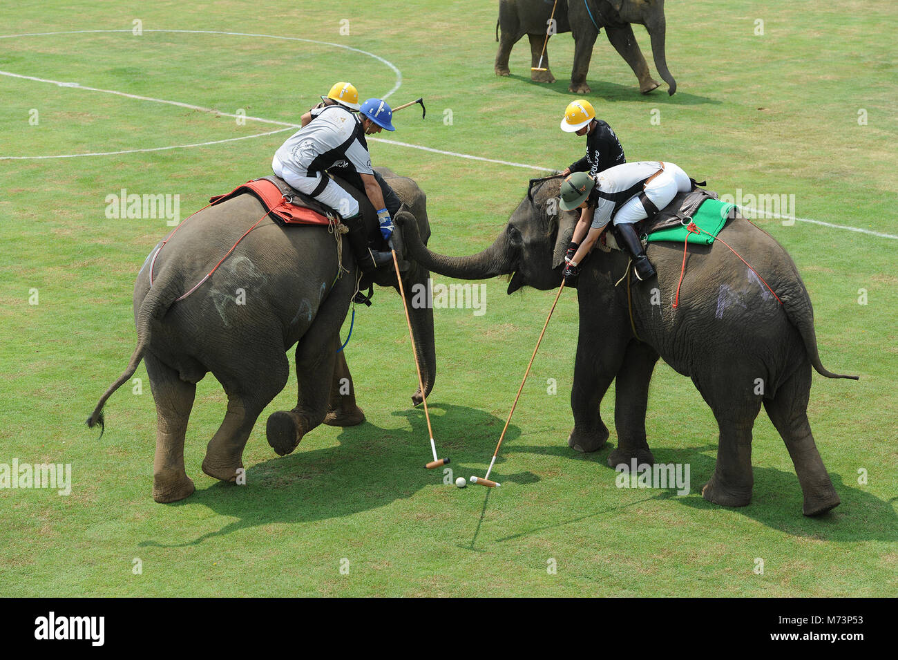 Bangkok. 8th Mar, 2018. Elephant polo teams battle for the ball during a  match at the 16th King's Cup Elephant Polo at Anantara Chaopraya Resort in  Bangkok, Thailand on March 8, 2018.