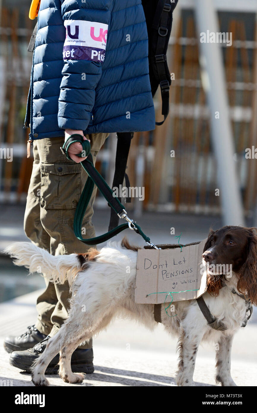 Edinburgh, Scotland, United Kingdom, 08, March, 2018. A UCU picket and his dog in the crowd as University lecturers and supporters demonstrate outside the Scottish Parliament over changes to university pensions. © Ken Jack / Alamy Live News Stock Photo