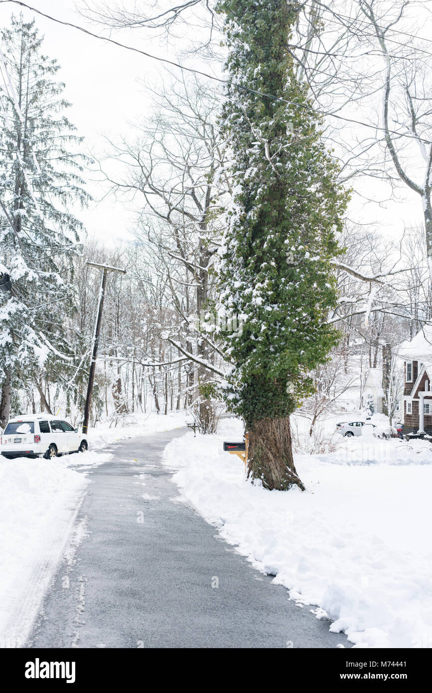 Chappaqua, NY, USA, 8th March 2018. Biggest snowstorm in years buries suburban Chappaqua, New York with up to 13.5 inches of snow in this suburban Westchester County town. Credit: Marianne Campolongo/Alamy Live News. Stock Photo