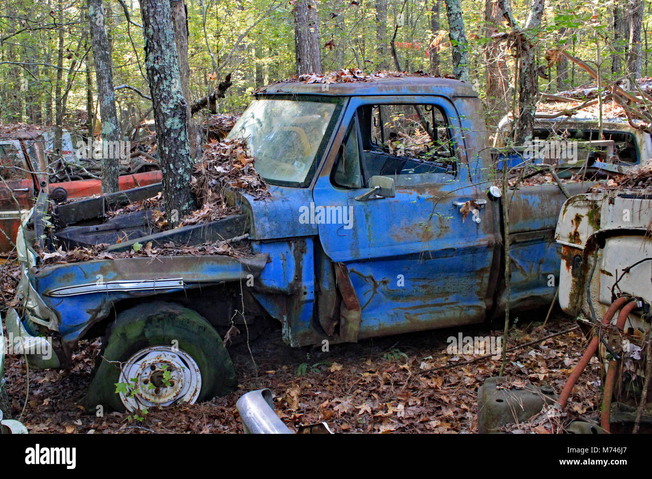 Old Car City in White, Stock Photo Alamy