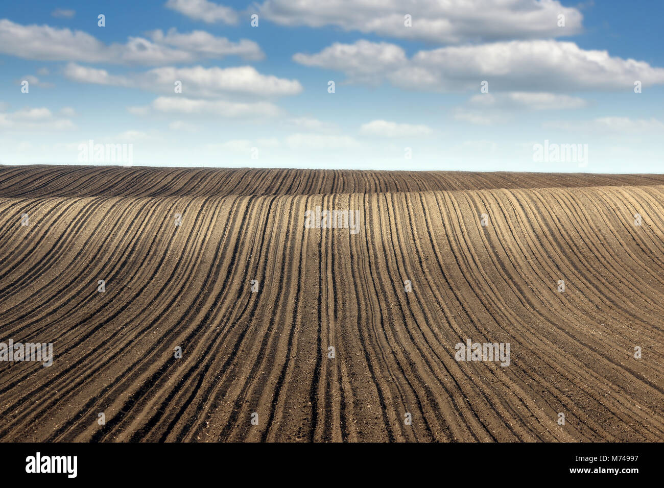 plowed field and blue sky with clouds landscape spring season Stock ...