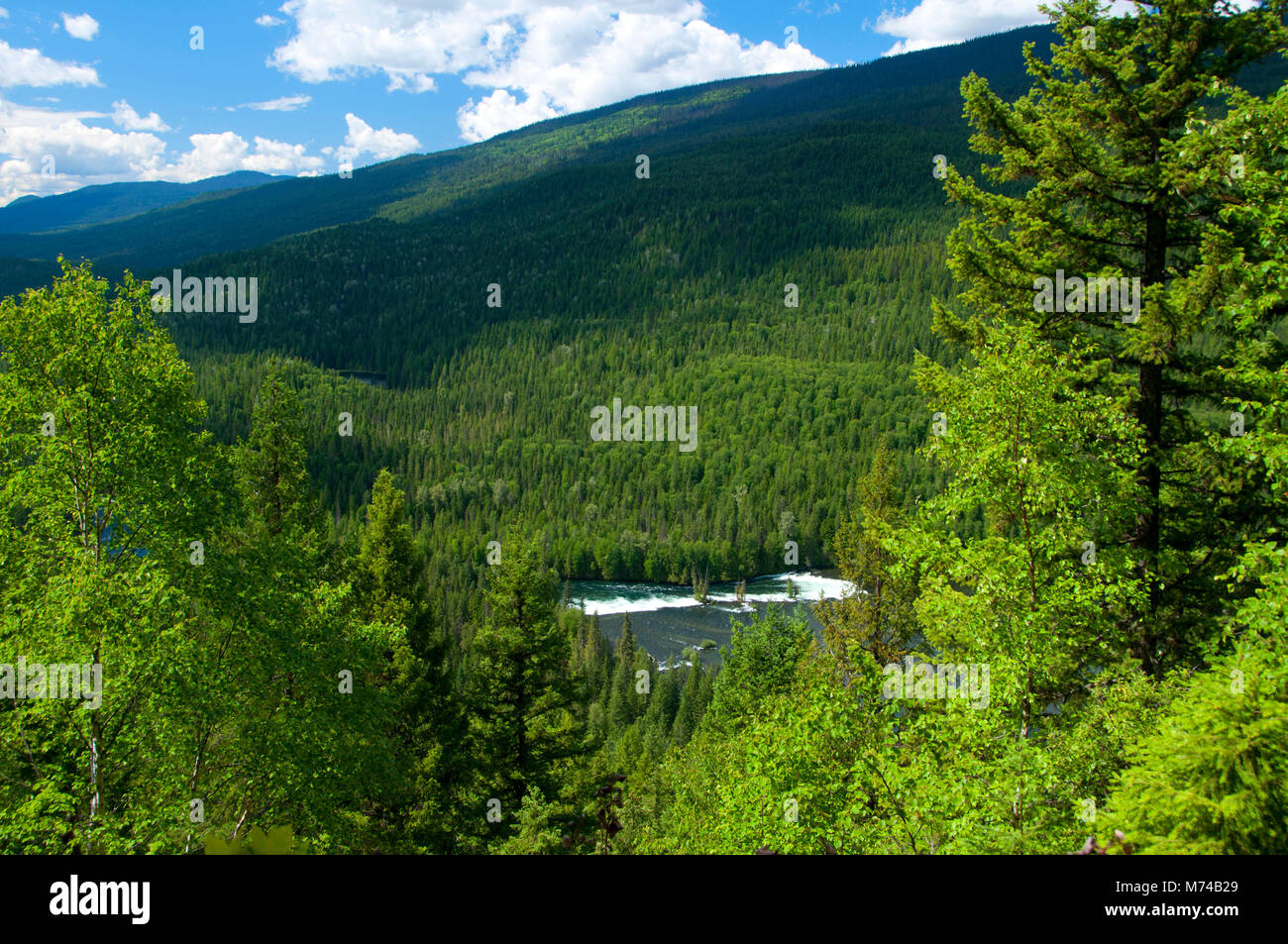 Osprey Falls Lookout to Osprey Falls, Wells Gray Provincial Park, British Columbia, Canada Stock Photo