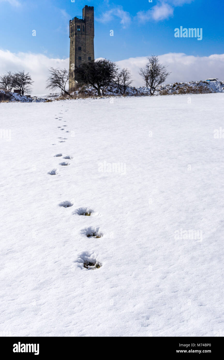Footprints in the snow at Castle Hill, Huddersfield, West Yorkshire, UK. Stock Photo