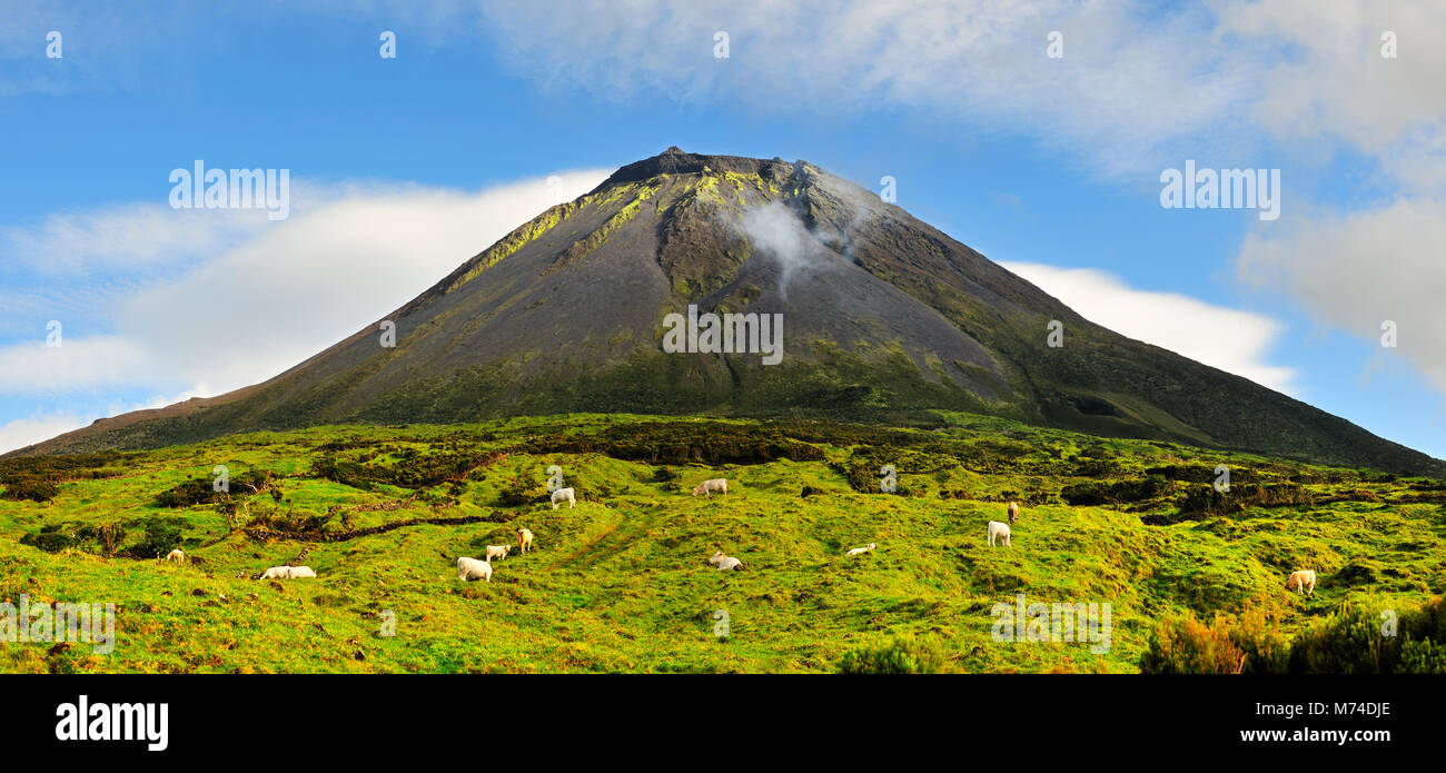 Pico volcano. Azores islands, Portugal Stock Photo