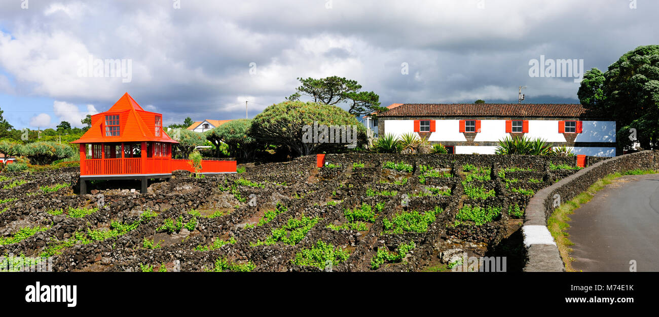 Museu do Vinho (Wine Museum). Madalena, Pico. Azores islands, Portugal Stock Photo