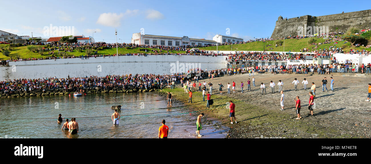 Bullfight (tourada à corda) in Porto de Pipas. Angra do Heroísmo. Terceira, Azores islands, Portugal Stock Photo