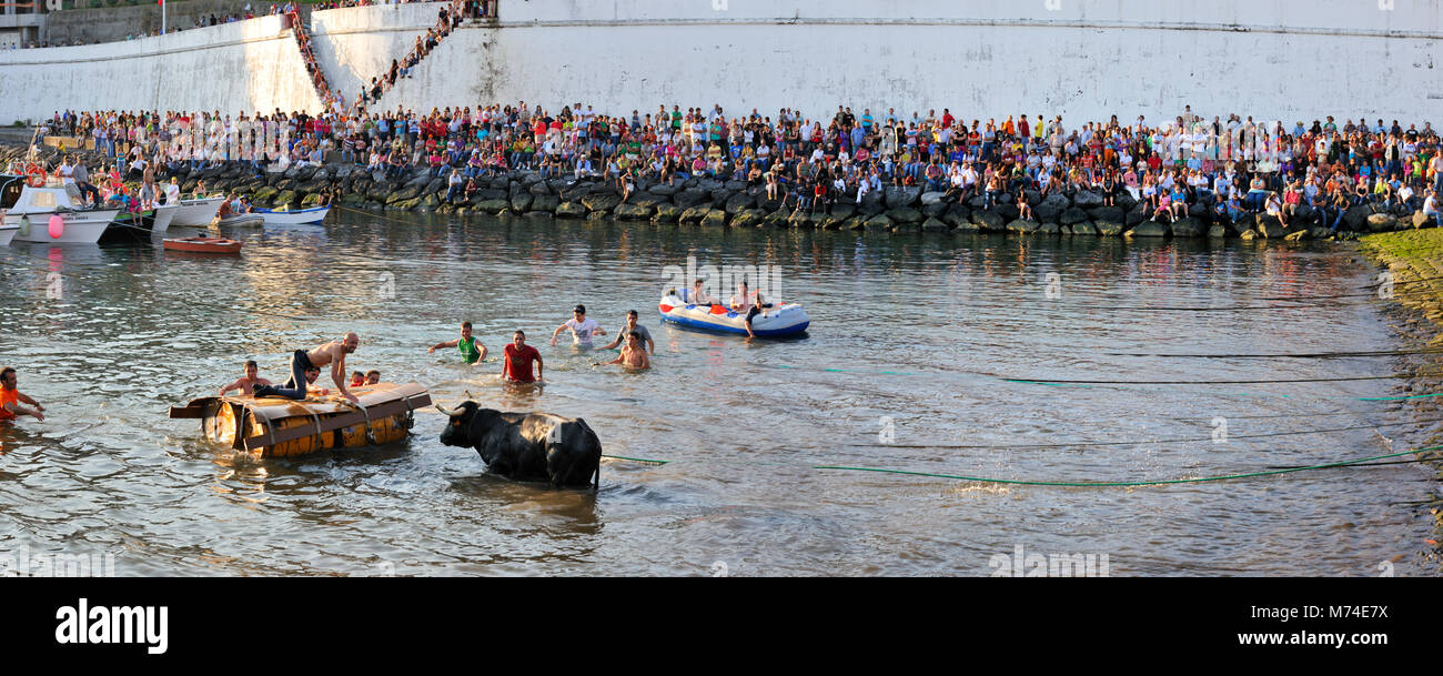 Bullfight (tourada à corda) in Porto de Pipas. Angra do Heroísmo. Terceira, Azores islands, Portugal Stock Photo