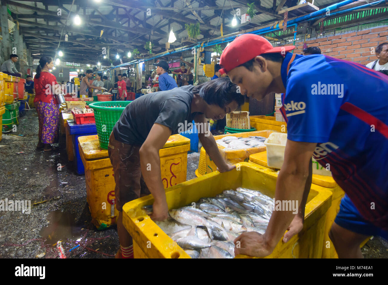 Yangon (Rangoon) San Pya Fish Market boxes fish ice, , Yangon Region
