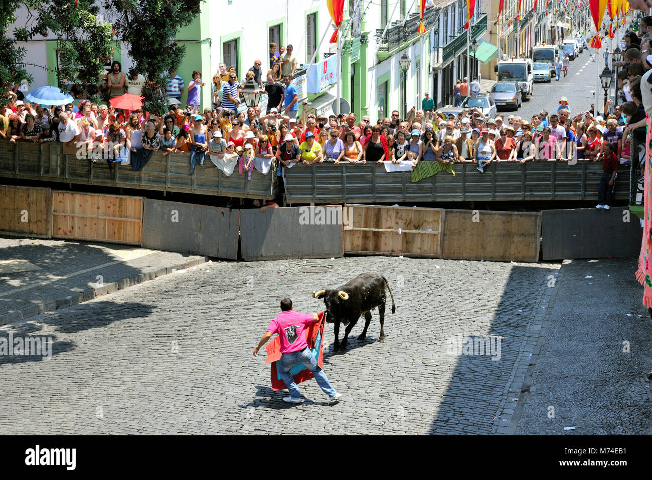 Bullfight (tourada à corda) in Angra do Heroísmo. Terceira, Azores islands, Portugal Stock Photo