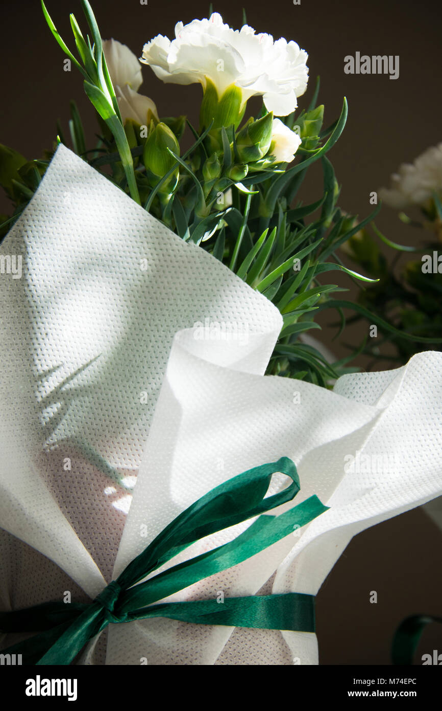 Close Up of beautiful white carnation flowers Stock Photo - Alamy