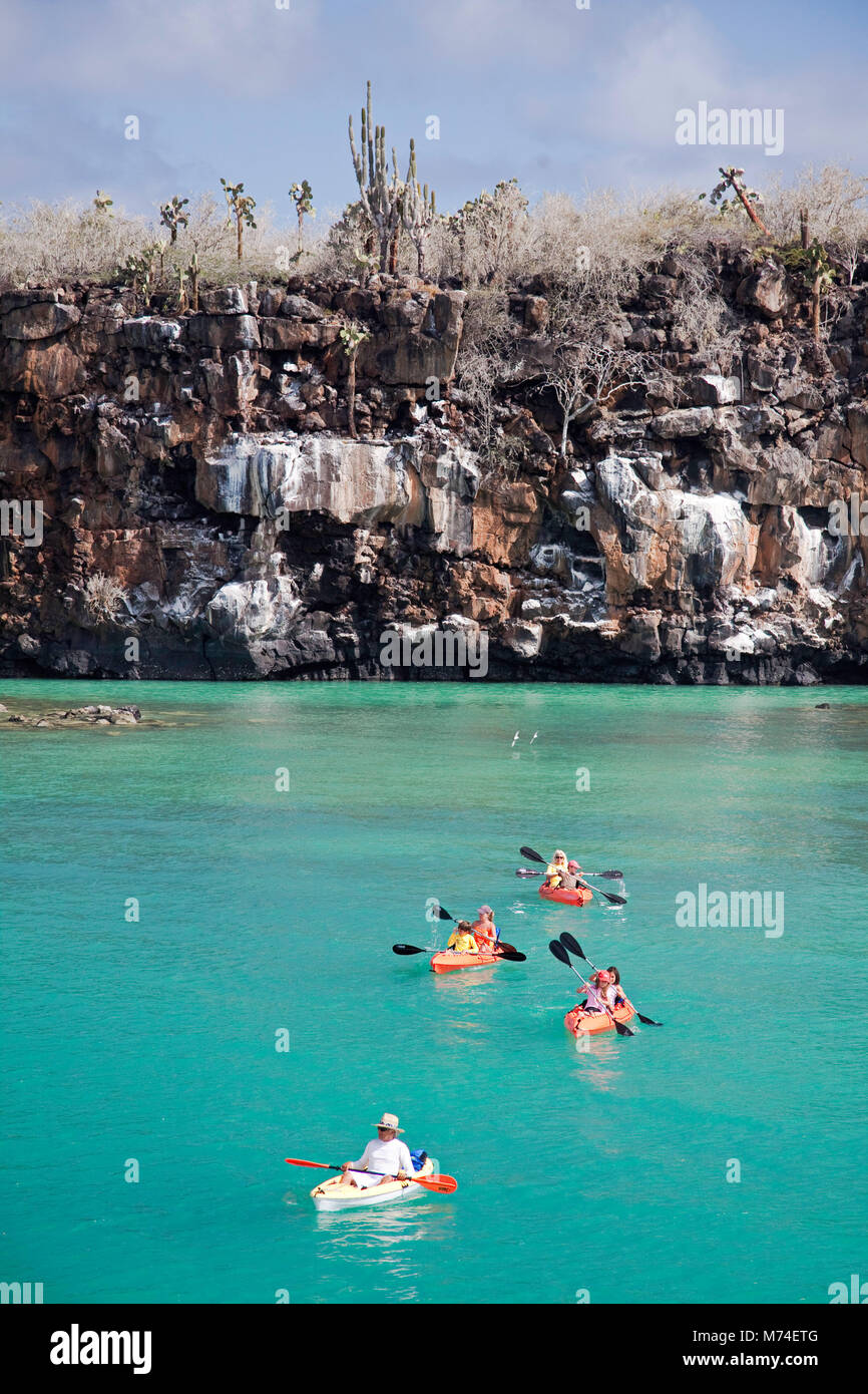 A group of kayakers (MR) exploring the waters off Santa Cruz Island, Galapagos Archipelago, Ecuador. Stock Photo