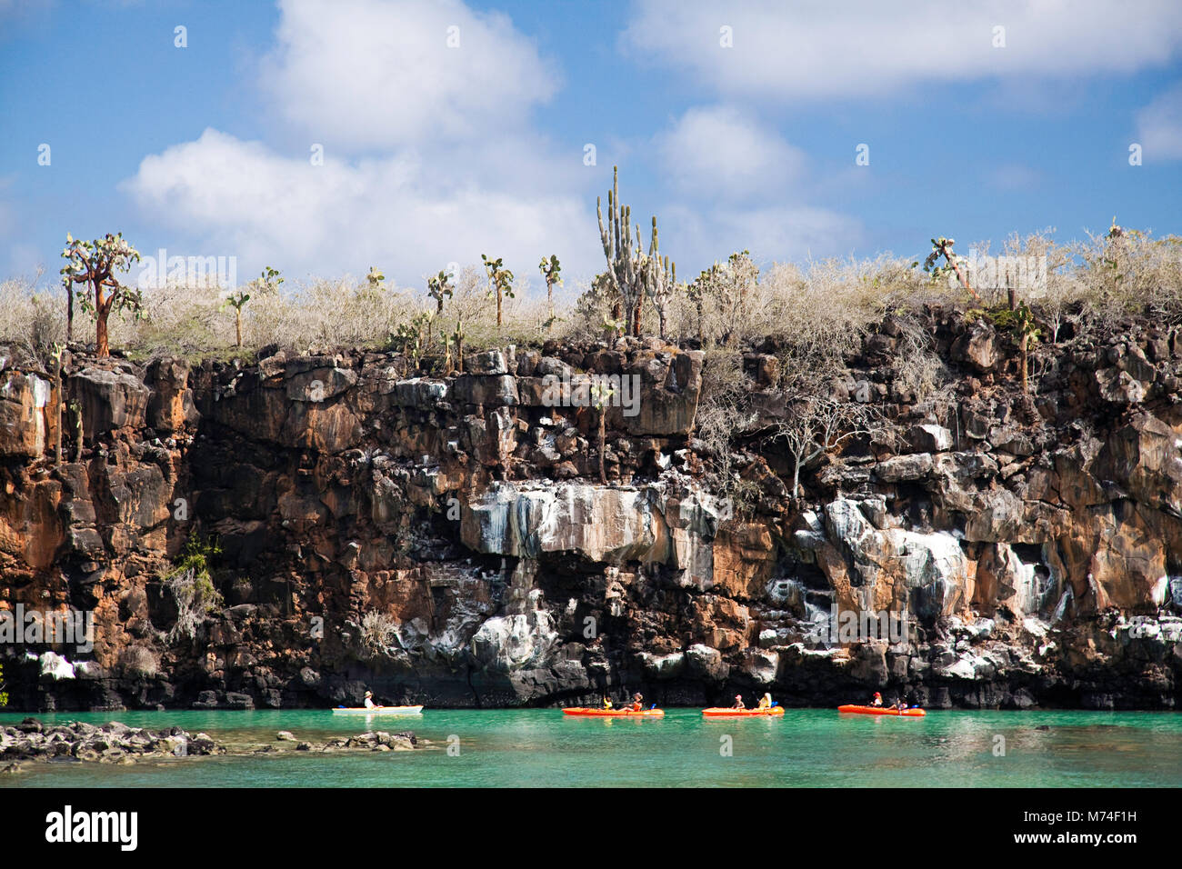 A group of kayakers (MR) exploring the waters off Santa Cruz Island, Galapagos Archipelago, Ecuador. Stock Photo