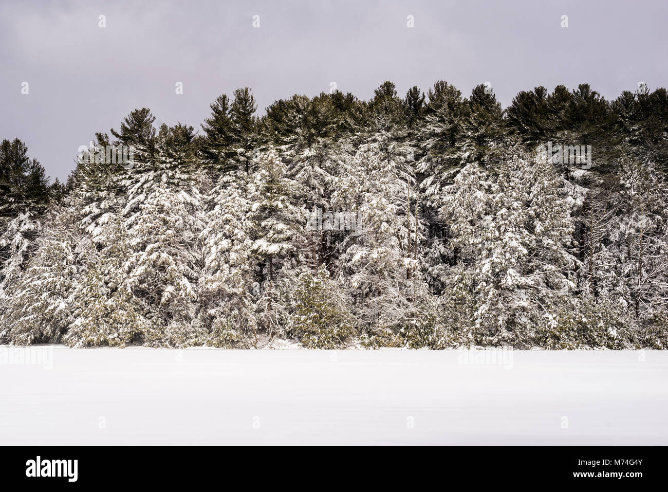 Howells Pond Hartland, Connecticut, USA Stock Photo Alamy